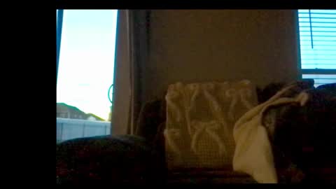 michaelt483 online show from February 21, 2026, 11:06 pm