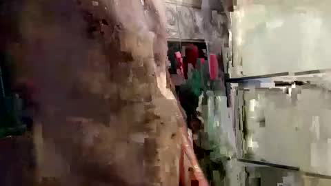 Snapshot of mickavis1975 chatting on January 12, 2025, 6:05 pm mickavis1975 online show from January 12, 2025, 6:05 pm