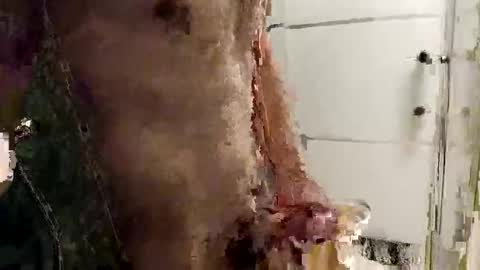 Snapshot of mickavis1975 chatting on December 14, 2025, 5:40 pm mickavis1975 online show from December 14, 2025, 5:40 pm