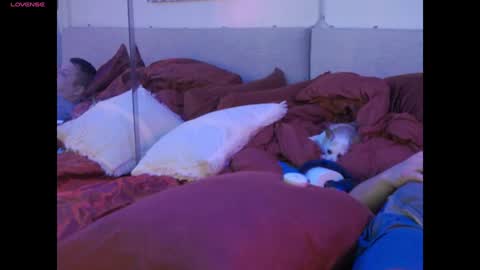 Mickey online show from February 1, 2025, 6:08 pm