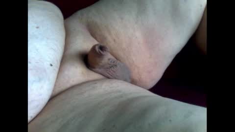 Snapshot of micropimmel chatting on October 11, 2025, 1:31 pm micropimmel online show from October 11, 2025, 1:31 pm