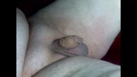 micropimmel online show from February 9, 2026, 7:51 pm