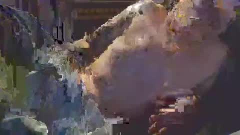 Snapshot of middle123456783939 chatting on September 11, 2025, 6:52 pm middle123456783939 online show from September 11, 2025, 6:52 pm