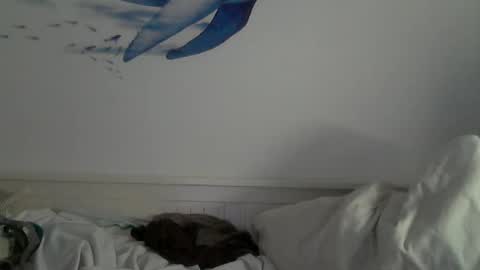 Snapshot of midhir chatting on January 31, 2025, 4:59 pm kike online show from January 31, 2025, 4:59 pm