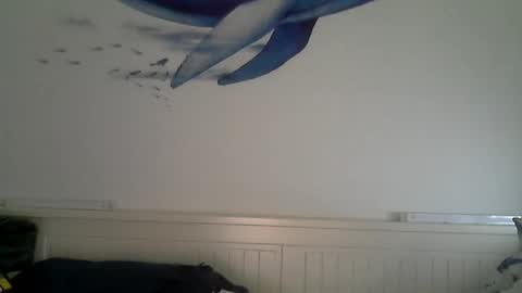 Snapshot of midhir chatting on December 4, 2025, 2:48 pm kike online show from December 4, 2025, 2:48 pm