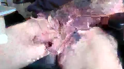 Snapshot of mikefun4711 chatting on October 28, 2025, 8:29 am mikefun4711 online show from October 28, 2025, 8:29 am