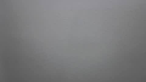 mikehannigan123 online show from February 19, 2026, 4:47 pm