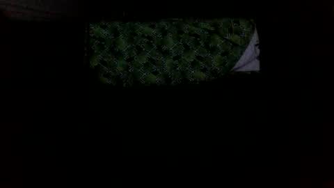 Snapshot of mikellangelo1 chatting on October 5, 2025, 1:59 am MICHAEL MOTORCYCLE online show from October 5, 2025, 1:59 am