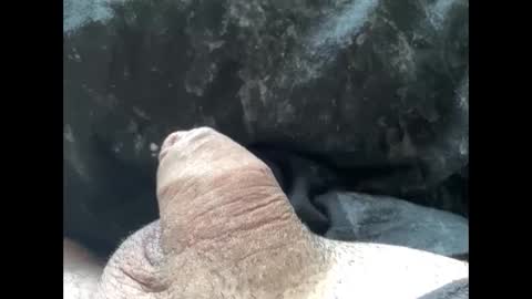 Snapshot of mikke332 chatting on February 10, 2025, 11:57 am mikke332 online show from February 10, 2025, 11:57 am