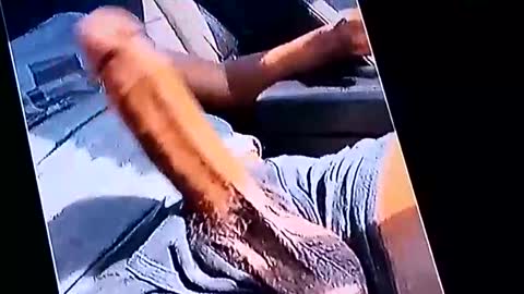 milkmarietits online show from November 19, 2025, 1:27 am