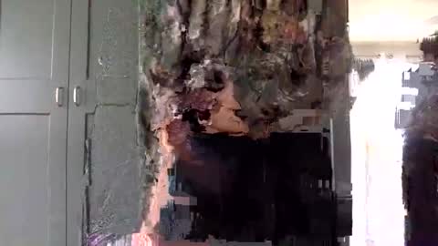 mince_alors online show from November 24, 2025, 5:34 pm