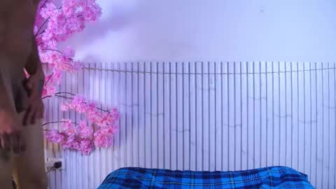 Mirandatroy online show from December 2, 2025, 7:53 pm