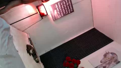 Snapshot of miss_bella69 chatting on November 5, 2025, 12:10 am miss_bella69 online show from November 5, 2025, 12:10 am