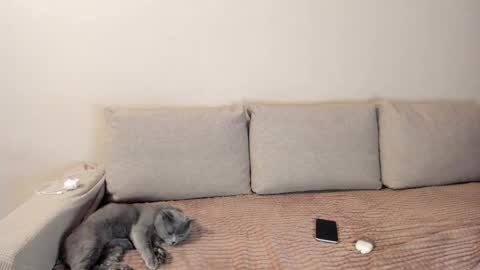 Snapshot of miss_kitty13 chatting on December 3, 2025, 2:41 am Kitty online show from December 3, 2025, 2:41 am