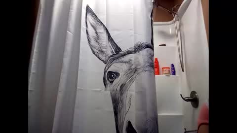 MissEeva online show from December 28, 2024, 2:01 am