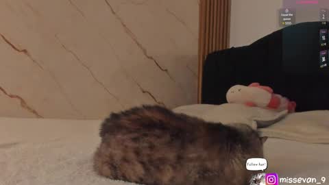 Snapshot of missevan chatting on April 22, 2026, 12:39 pm Sami Evan online show from April 22, 2026, 12:39 pm