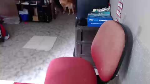 Snapshot of missgomezz_ chatting on March 19, 2026, 4:11 pm Maria Gomezz online show from March 19, 2026, 4:11 pm