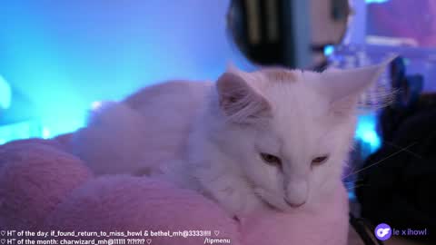 Lexi Bitch Tits Baked Goldfish Howl Miss Zero Remeber The First online show from January 11, 2025, 9:15 am