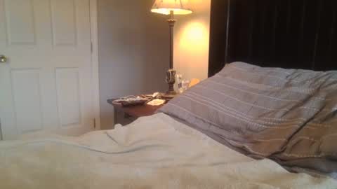 Snapshot of misterbret chatting on January 21, 2025, 6:34 pm misterbret online show from January 21, 2025, 6:34 pm
