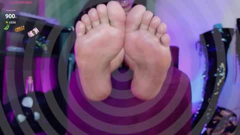 Jhadee online show from February 21, 2026, 11:39 pm