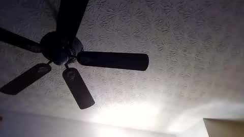 BobbyMitchGa online show from September 18, 2025, 10:28 am