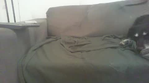 Snapshot of mixandflair chatting on December 22, 2024, 8:47 pm mixandflair online show from December 22, 2024, 8:47 pm