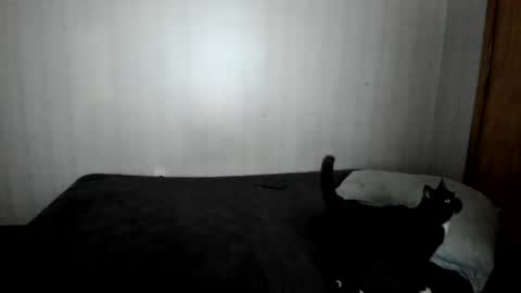 Snapshot of mizzkittay chatting on February 26, 2025, 12:03 pm MizzKittay online show from February 26, 2025, 12:03 pm