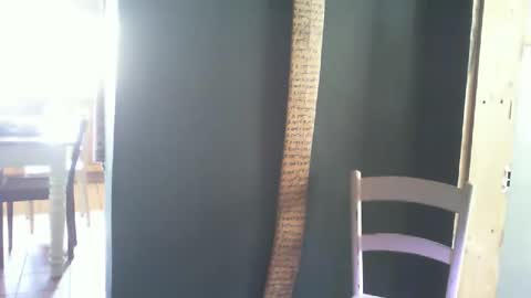 Snapshot of mjjunior1999 chatting on November 19, 2025, 11:54 am MikeyRix online show from November 19, 2025, 11:54 am