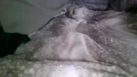 Snapshot of mmmbacon211 chatting on February 22, 2026, 8:07 pm mmmbacon211 online show from February 22, 2026, 8:07 pm