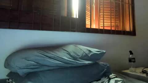 DigBreed online show from January 2, 2025, 10:11 pm