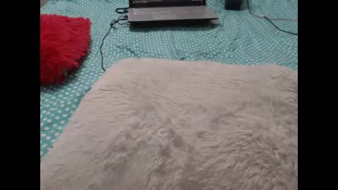 Snapshot of mollyandbra chatting on February 12, 2025, 12:48 am Molly And Brad online show from February 12, 2025, 12:48 am