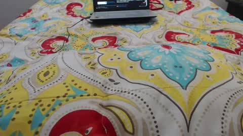 Snapshot of mollyandbra chatting on September 20, 2025, 9:27 pm Molly And Brad online show from September 20, 2025, 9:27 pm