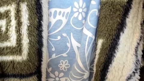 Snapshot of mollystory chatting on February 28, 2025, 3:59 pm AngelMomm online show from February 28, 2025, 3:59 pm