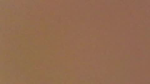 moma1111 online show from April 11, 2026, 4:22 pm