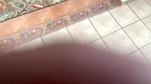 Snapshot of mommymona chatting on July 14, 2026, 8:14 pm mommymona online show from July 14, 2026, 8:14 pm