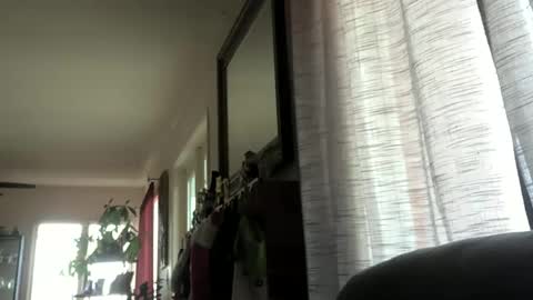 Monkee Dance online show from December 23, 2024, 10:01 pm