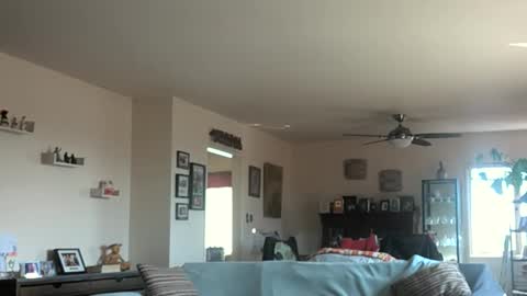 Monkee Dance online show from March 3, 2025, 10:10 pm