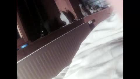 moos1 online show from September 16, 2025, 6:42 pm