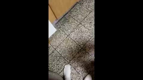 moos1 online show from October 4, 2025, 4:10 am