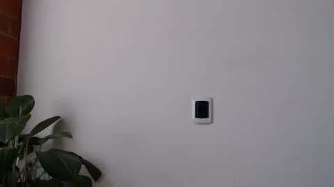 Abelardo online show from March 28, 2026, 3:44 pm