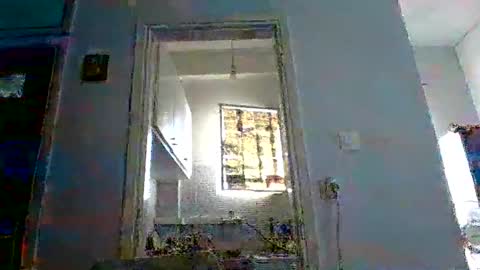 mppempis81 online show from November 18, 2025, 6:40 am