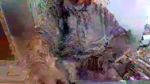 mppempis81 online show from November 25, 2025, 7:30 am