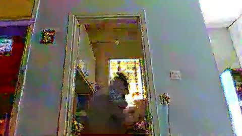 mppempis81 online show from December 14, 2025, 9:03 am