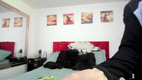 Snapshot of mr_andresr chatting on December 23, 2024, 4:50 pm Andy online show from December 23, 2024, 4:50 pm