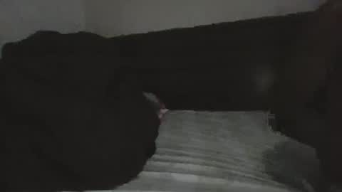 Snapshot of mr_hooked chatting on November 18, 2025, 4:06 am mr hooked online show from November 18, 2025, 4:06 am