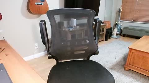 Rabbit online show from December 24, 2024, 3:37 pm