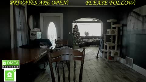 MrBrew online show from December 1, 2024, 7:36 pm