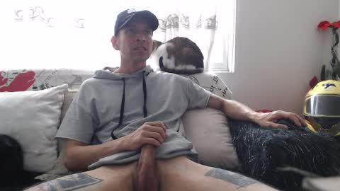 Snapshot of mrcock_col chatting on April 8, 2026, 5:13 pm mrcock_col online show from April 8, 2026, 5:13 pm