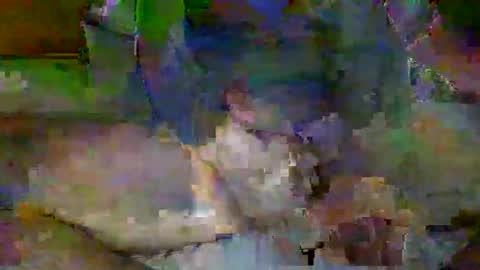 Mr-E online show from April 6, 2026, 2:09 am