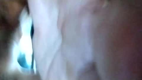 mrhotcock7inch online show from December 27, 2024, 8:24 am